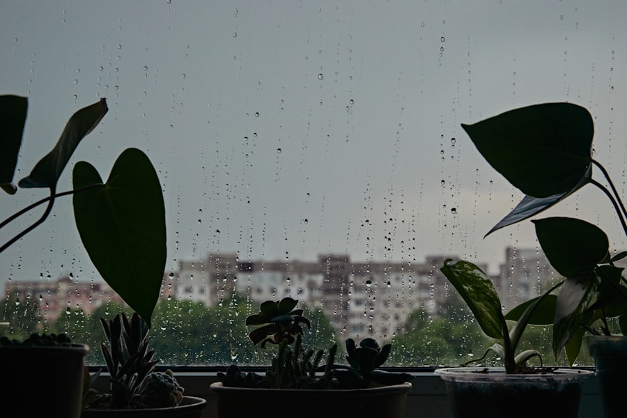 Photo secret rainy day fund