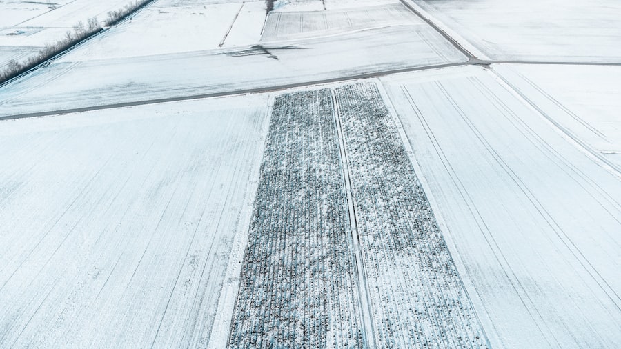 cheating wife revenge