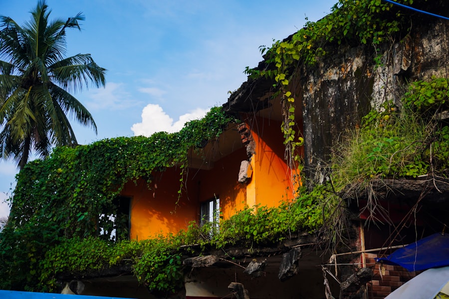 reclaiming house