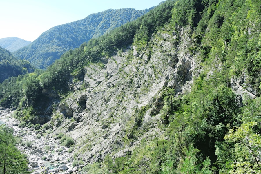 tectonic reconstruction