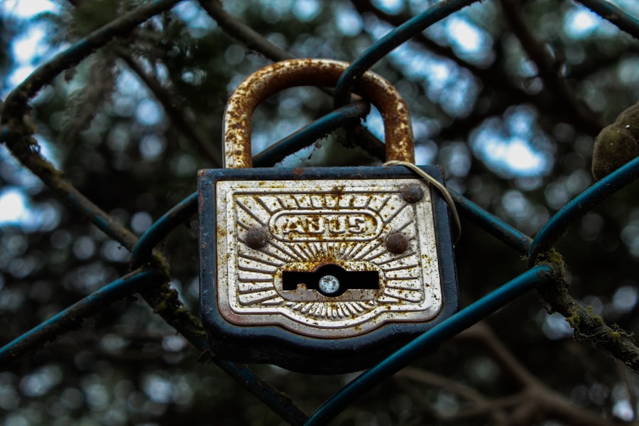 Photo reclaiming stolen patent