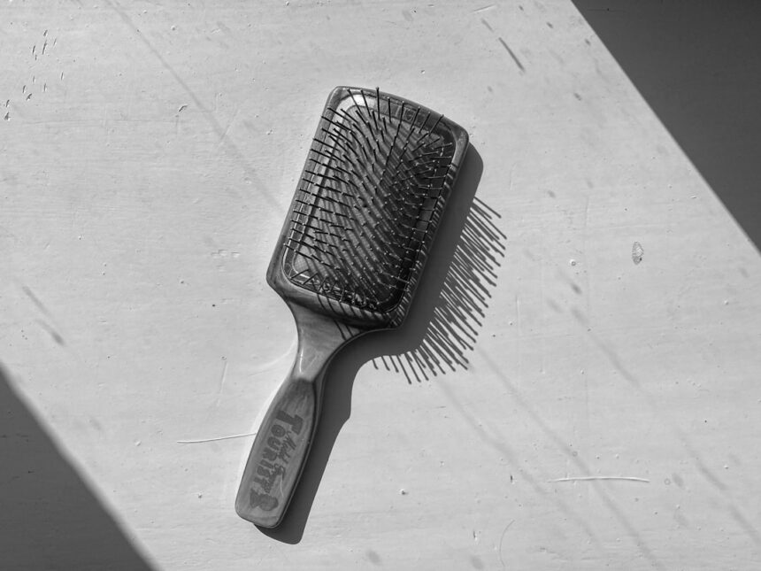 Photo hairbrush