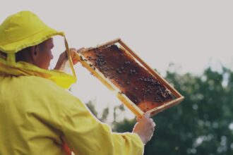 Photo digital honeytrap