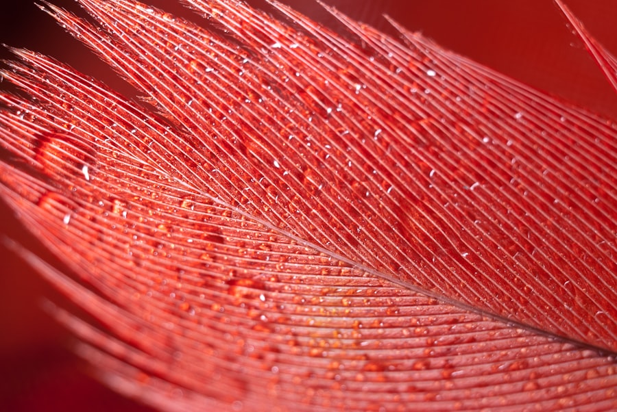 Photo forensic fingerprint