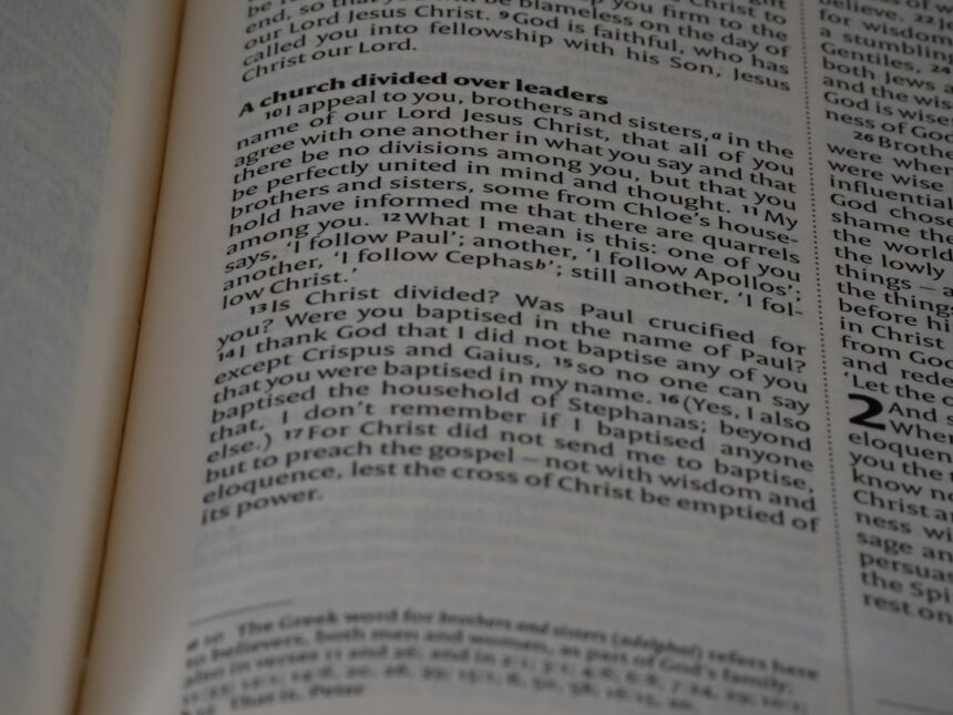 Photo non-disparagement clause