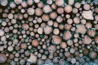 Photo bluetooth logs