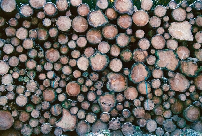 Photo bluetooth logs