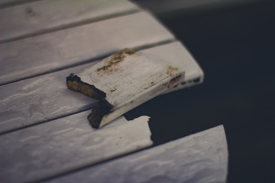 Photo divorce papers