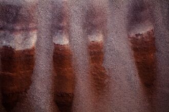 Photo tls fingerprints