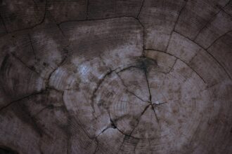 Photo archaeomagnetic data