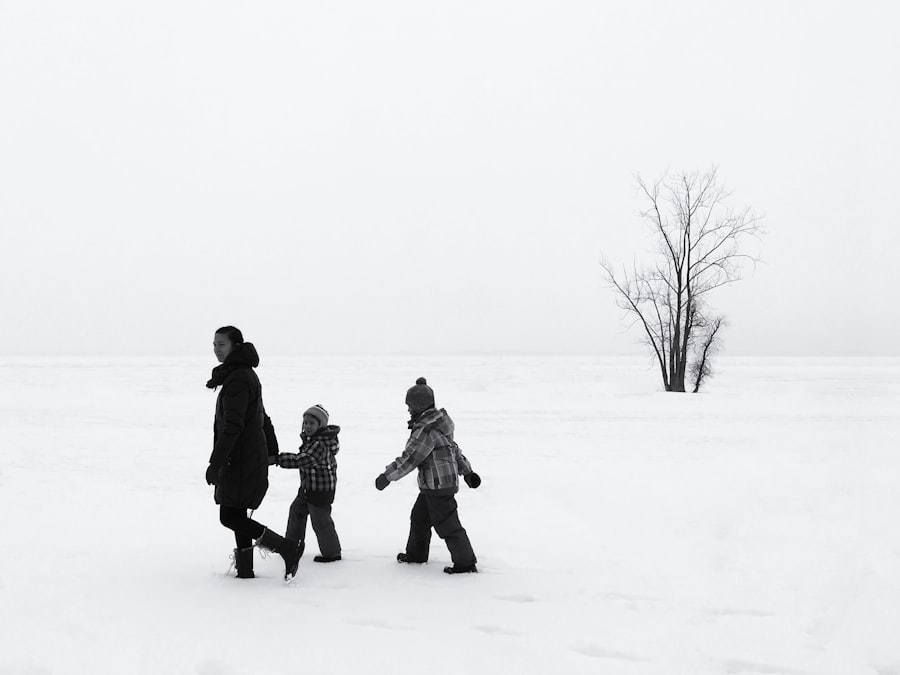 Photo freezing family assets