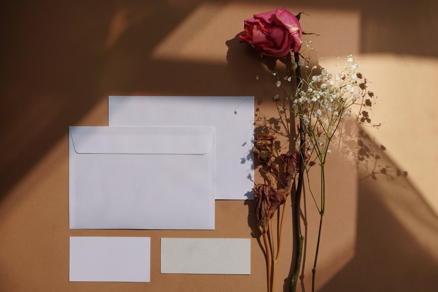 Photo divorce papers