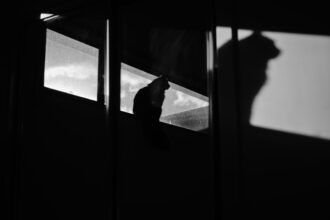 Photo corporate espionage