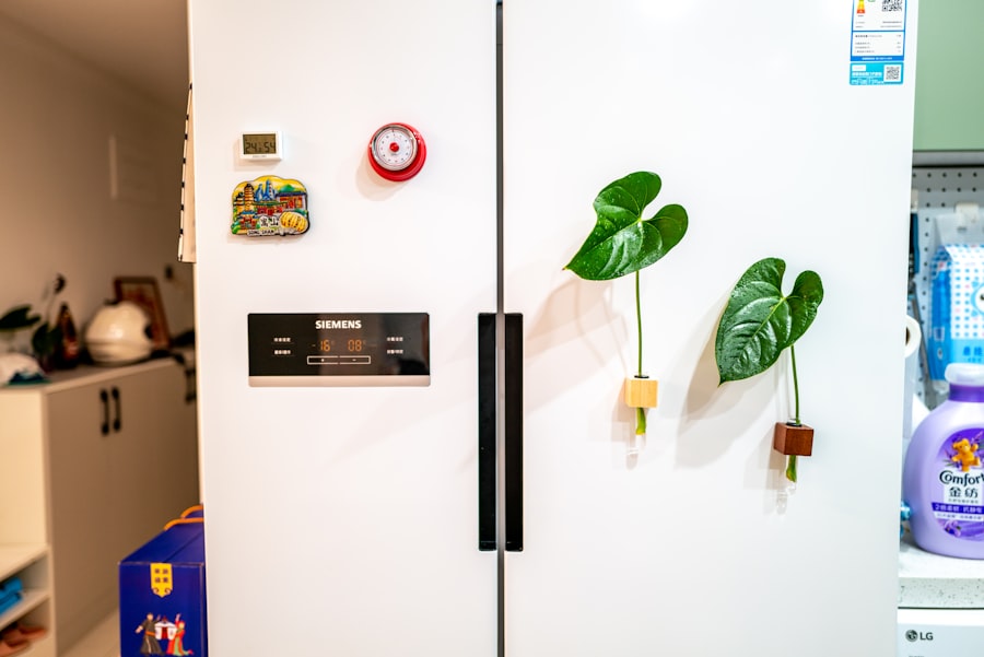 Photo smart fridge