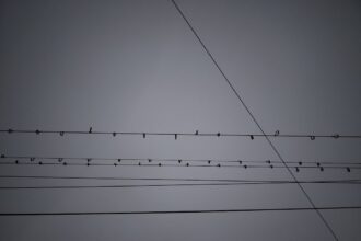 Photo wire transfers