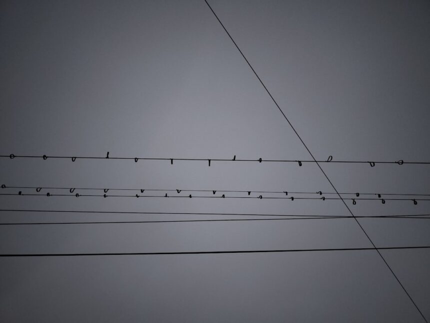 Photo wire transfers