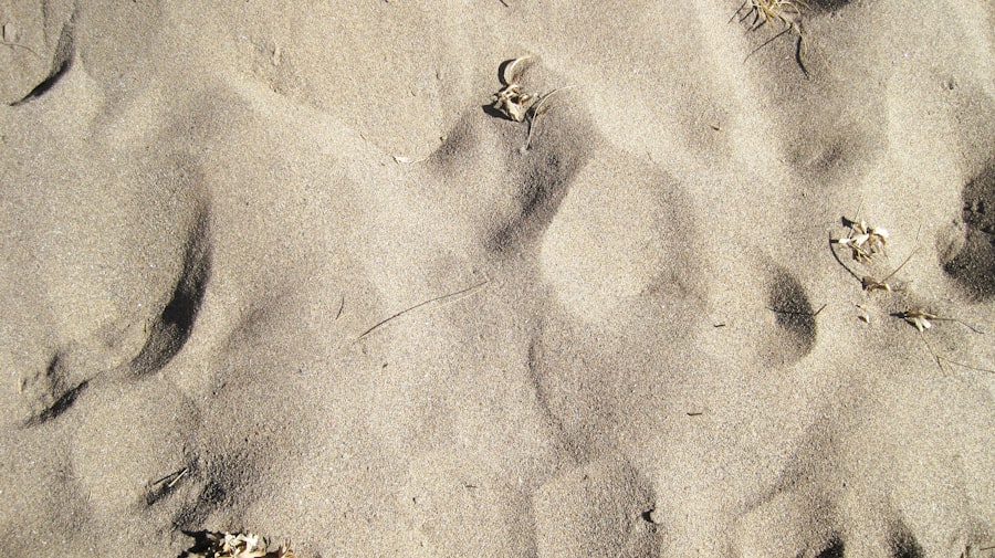 Photo forged will signature