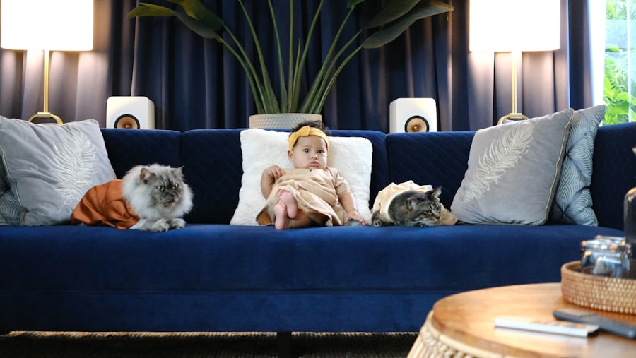 Photo couch family freeloader