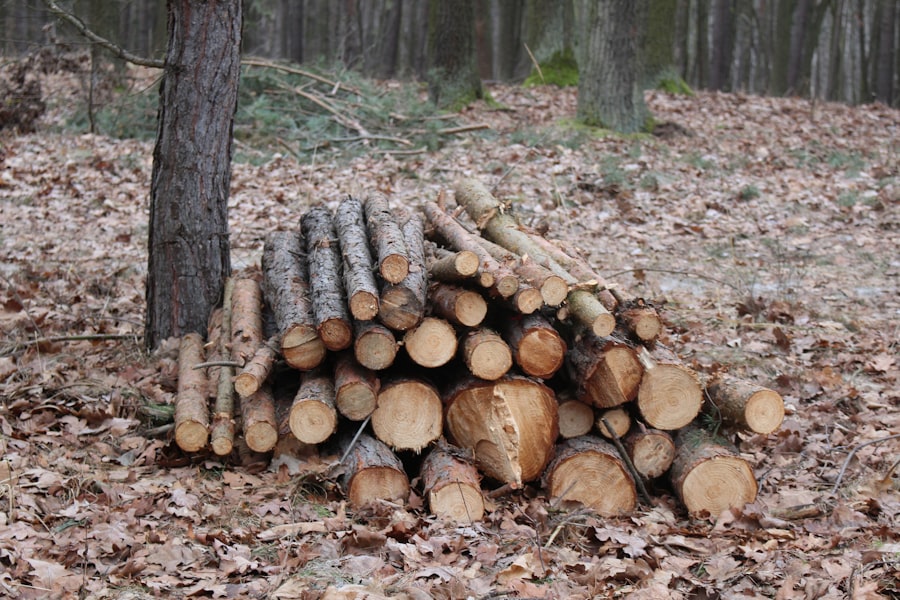 passive imsi logging