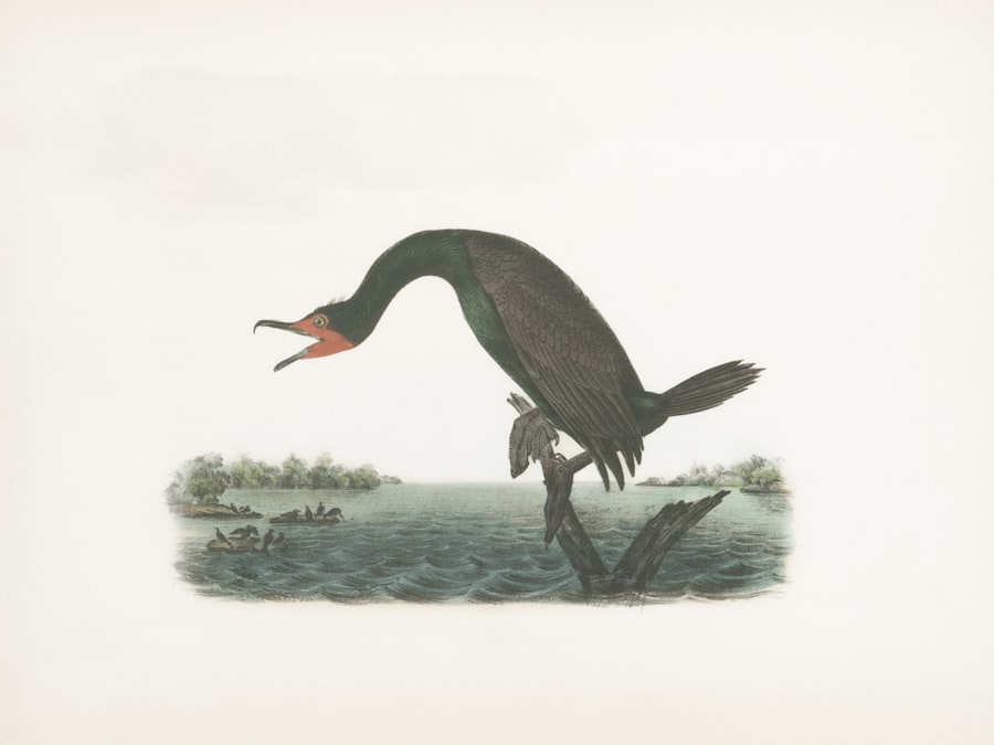 clawbacks