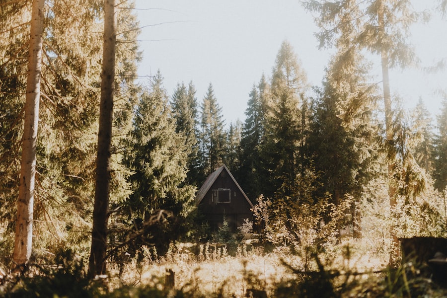 mountain cabin property dispute