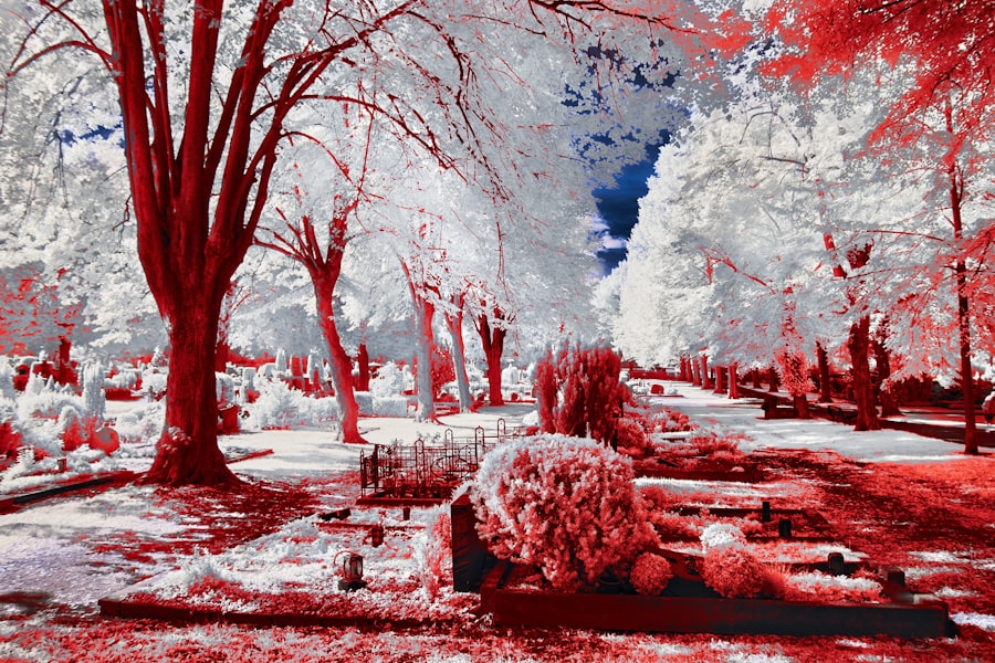 Photoshop Texturize filter forgery