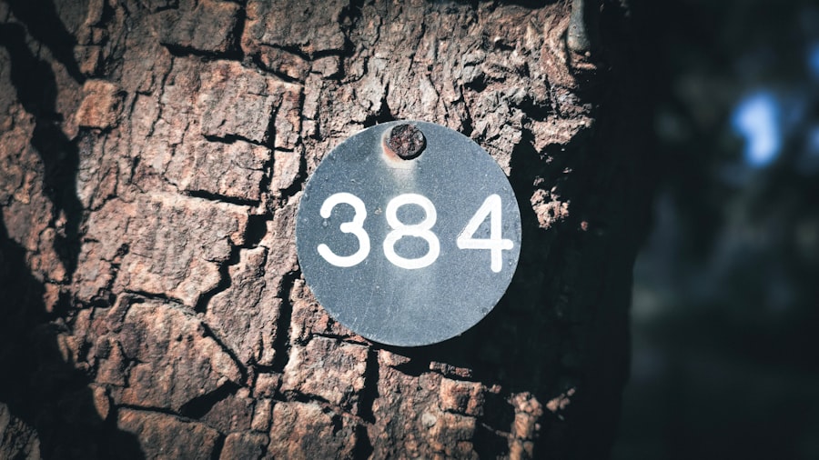 Photo routing number