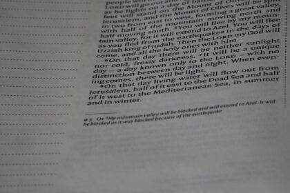 Photo custodian affidavit