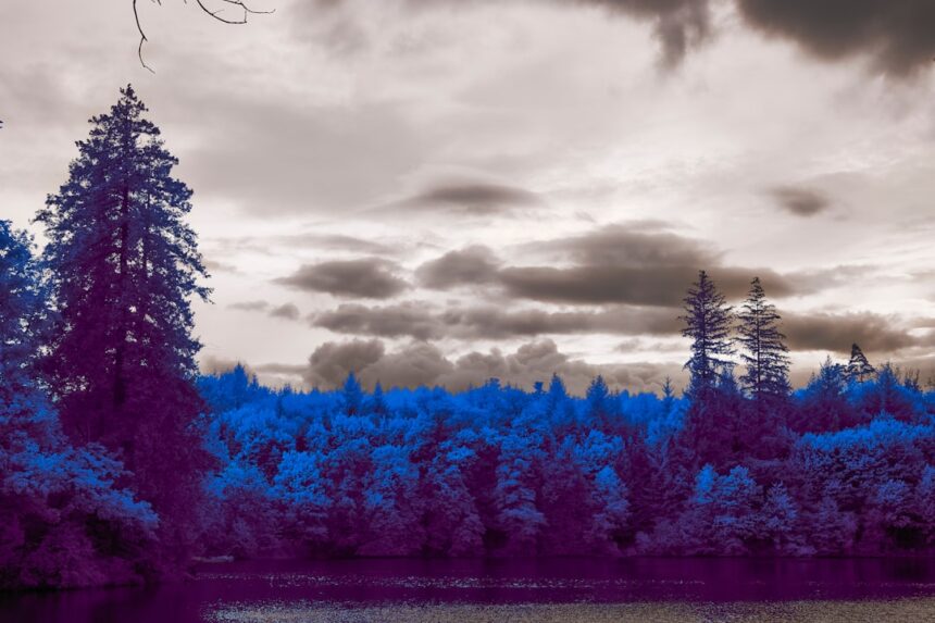 Photo Photoshop Texturize filter forgery