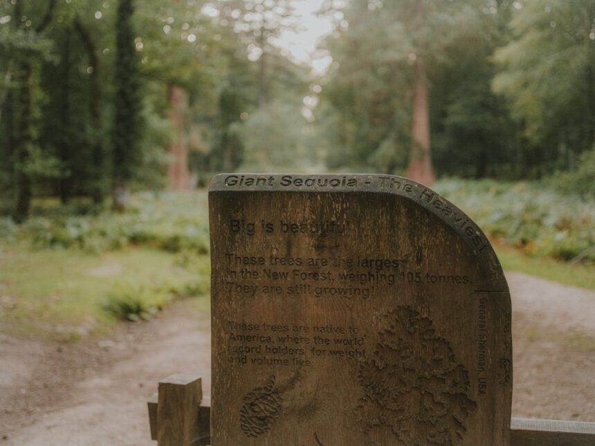 Photo printed after death