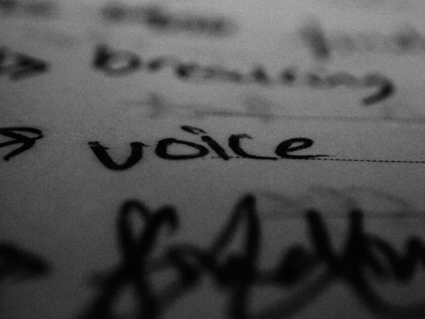 Photo voice memos