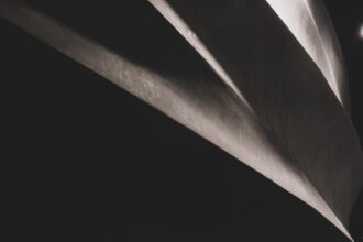 Photo hidden ssid broadcast