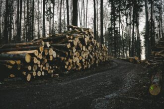 Photo passive imsi logging