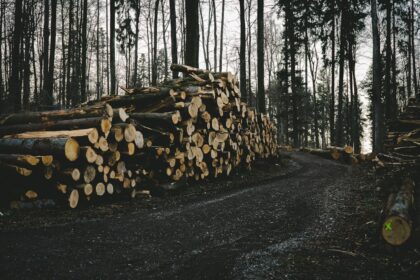 Photo passive imsi logging