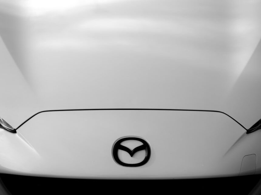 Photo white label vpn provider