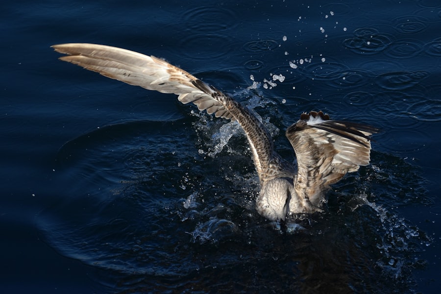 Photo clawbacks