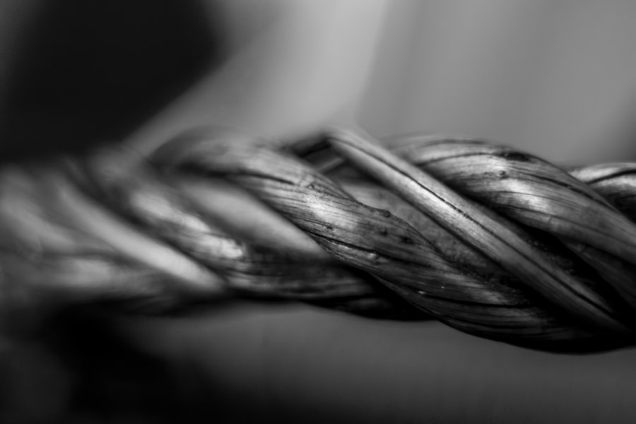 Photo wire fraud penalties