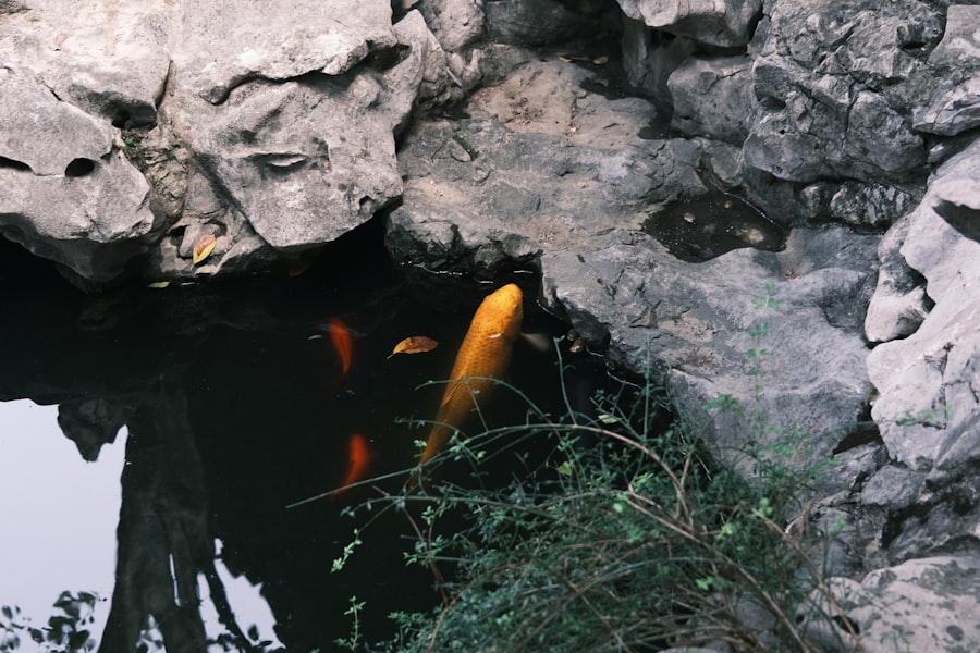 Photo dns sinkholes