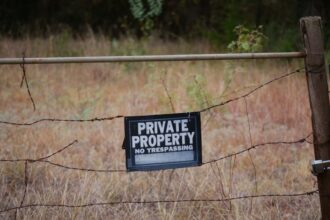 Photo protect assets