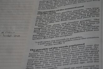 Photo forensic audit relationship drama reddit