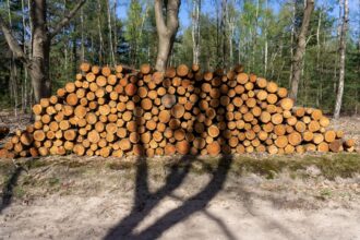 Photo github commit logs