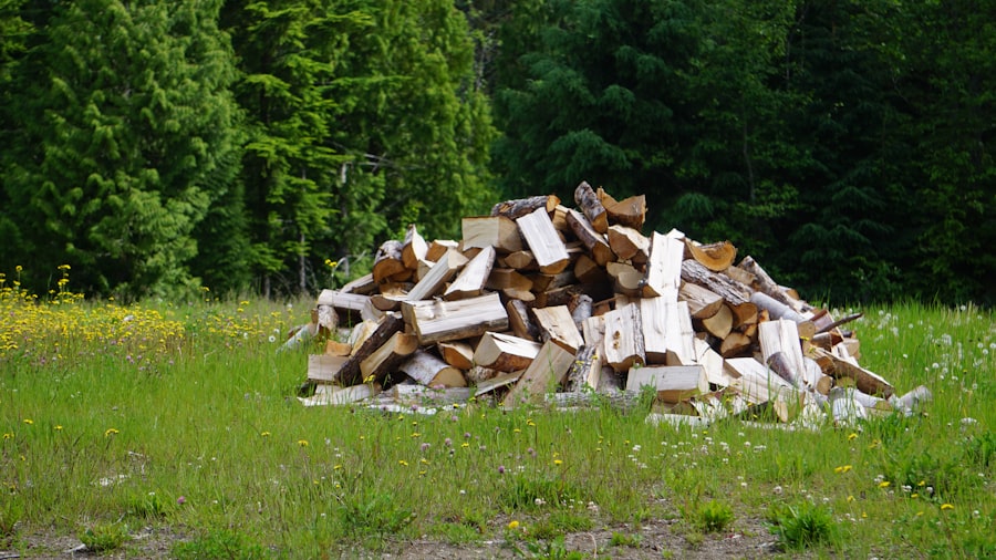 Photo github commit logs