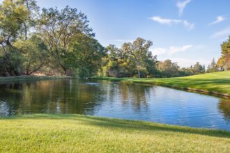 Photo negative pledge clauses