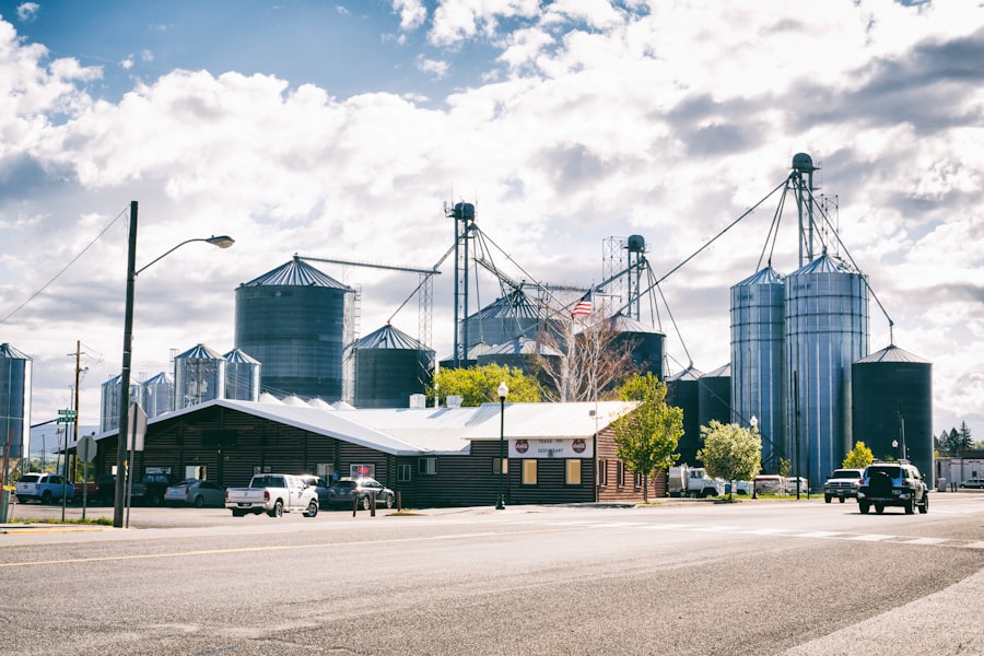 commodity sector business success story