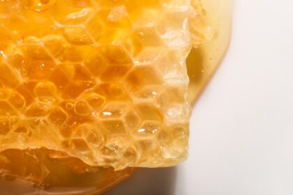 Photo honey files