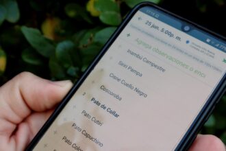 Photo track ip address to a phone