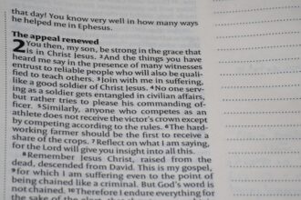 Photo morality clause
