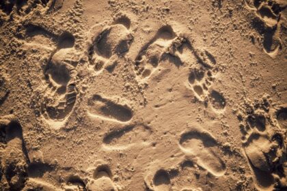 Photo digital footprints