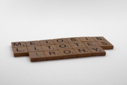 Photo metadata