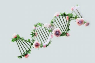 Photo genetic mutation